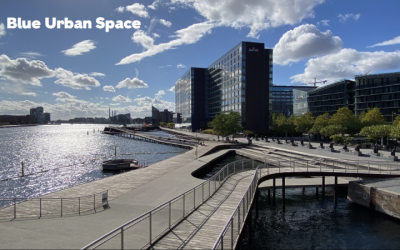 Pisamo a confronto con l’International Team di Meet Copenaghen