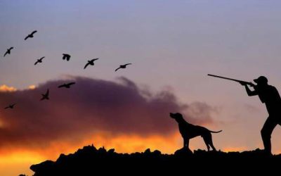 RITIRO TESSERINI VENATORI PER LA STAGIONE DI CACCIA 2024-2025