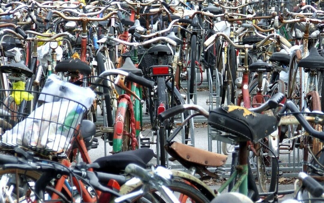 Sono 353 i rottami di biciclette rimossi a Pisa nel solo 2022