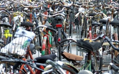 Sono 353 i rottami di biciclette rimossi a Pisa nel solo 2022