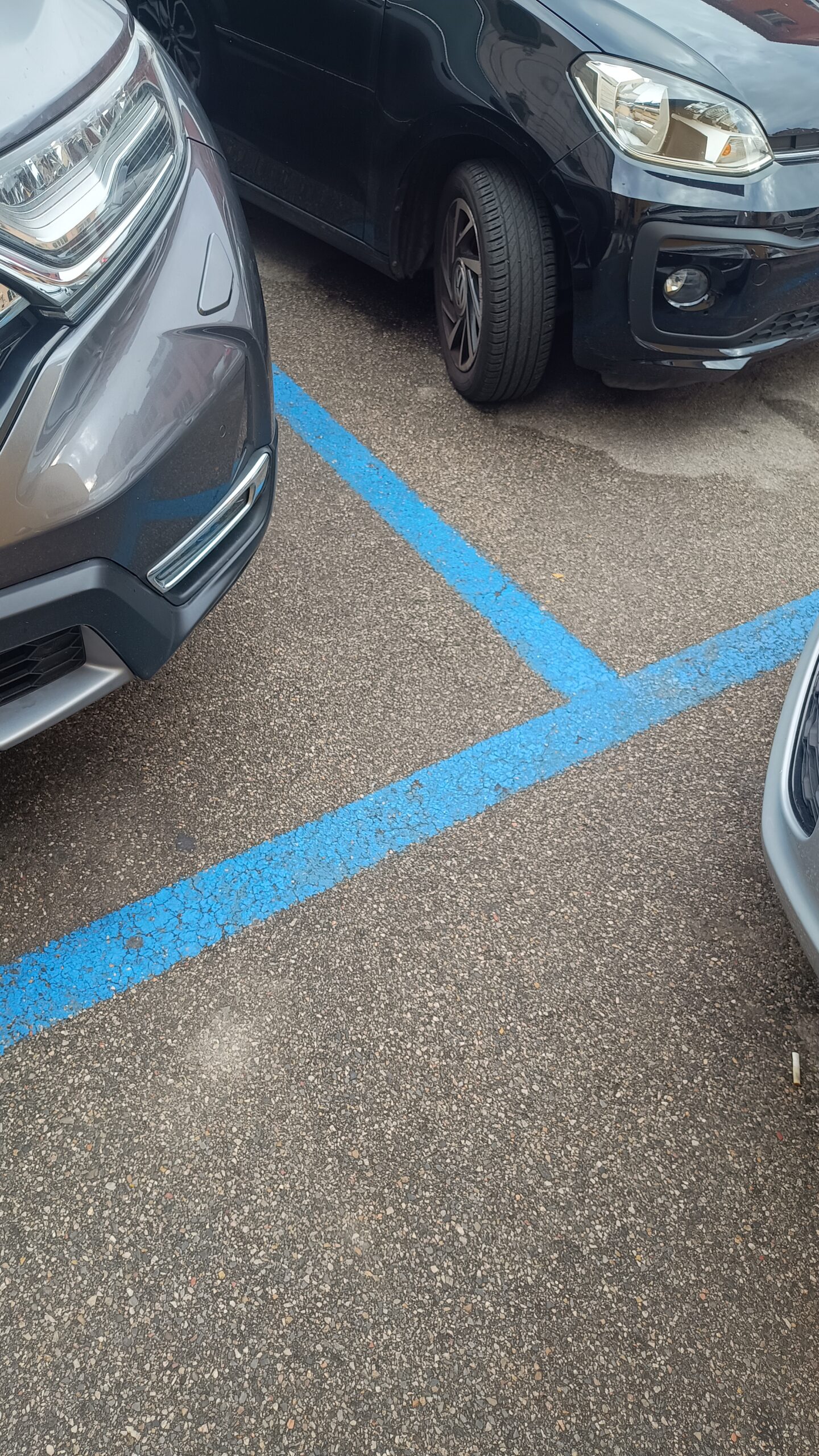 IMG_20241002_100027872