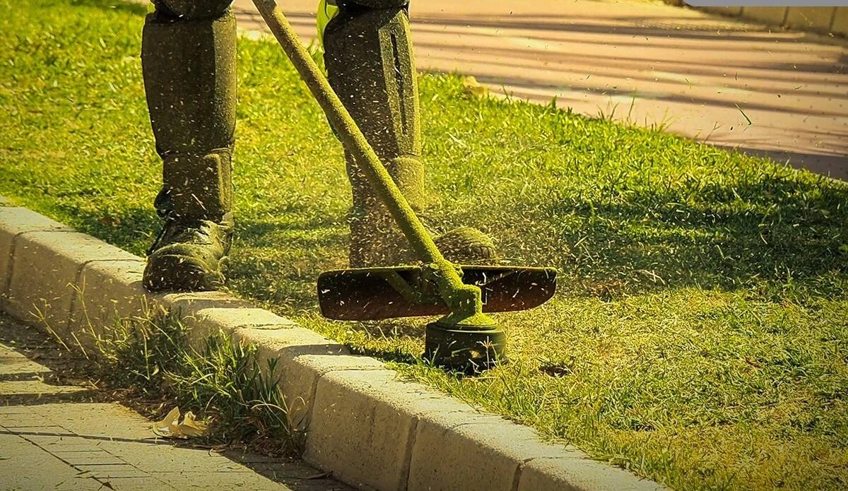 primo piano di un utensile taglia erba